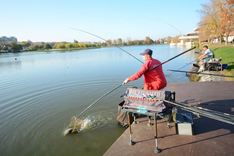Világbajnok horgász mutatta meg mennyi hal van a Csónakázó-tóban